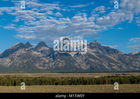 Vista del Teton Mountains da vista sul ghiacciaio affluenza alle urne. Alci, Wyoming USA Foto Stock