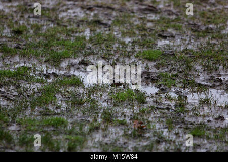 Un fango di calcio a Bognor Regis, West Sussex, Regno Unito. Foto Stock