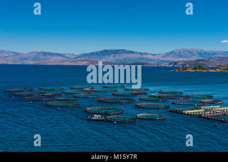 Fishfarm a Kassiopi, Corfu, Isole Ionie, Grecia Foto Stock