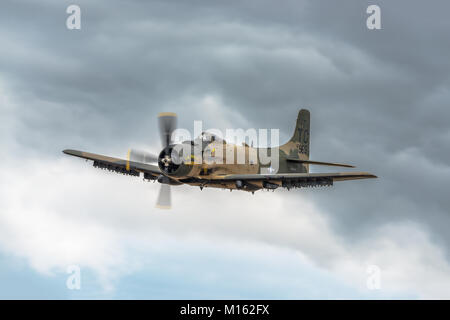 A-1 Skyraider in corrispondenza di un'esibizione aerea all'Heritage Flight Museum, Skagit aeroporto regionale, Burlington, Washington, Stati Uniti d'America Foto Stock