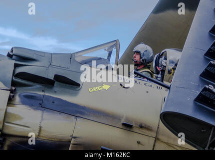 A-1 Skyraider in corrispondenza di un'esibizione aerea all'Heritage Flight Museum, Skagit aeroporto regionale, Burlington, Washington, Stati Uniti d'America Foto Stock