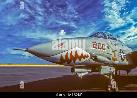 F-14 Tomcat in corrispondenza di un'esibizione aerea a Pocatello aeroporto regionale, Pocatello, Idaho, Stati Uniti d'America Foto Stock