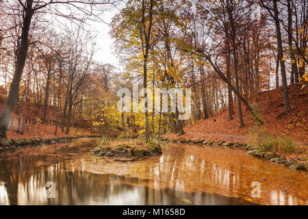 Tranquillo laghetto nel bosco autunnale. Foto Stock