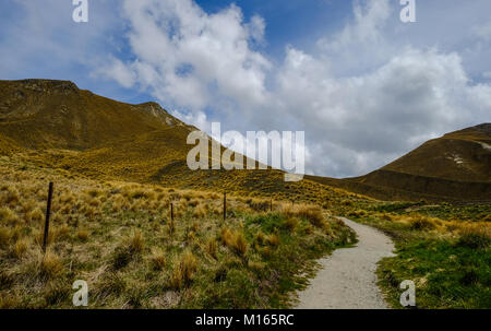 Strada di Montagna con erba secca campo in autunno sul Lindis Pass nell Isola del Sud della Nuova Zelanda. Foto Stock