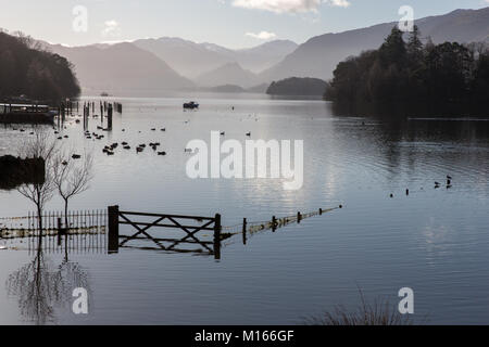 Un campo inondato sulle rive del Derwent Water Near Keswick Dopo forti piogge Foto Stock