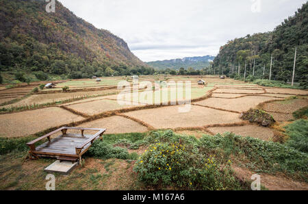 Essiccato depositata della pianta di riso dopo la raccolta all'interno della valle circondata da montagne a Mae Hong Son, provincia del nord della Thailandia. Foto Stock