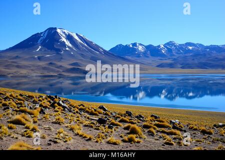 Laguna Miscanti sull'Altiplano, Reserva Nacional los Flamencos, vicino a San Pedro de Atacama, Región de Antofagasta, Cile Foto Stock