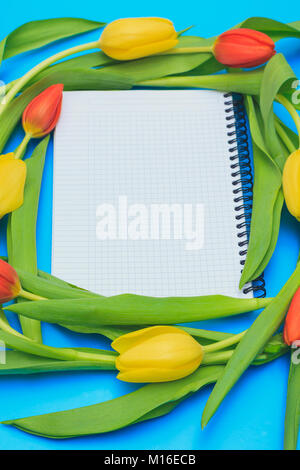 Foglio bianco di notebook circondato da rosso e tulipani gialli cerchio blu su sfondo color pastello. Foto Stock