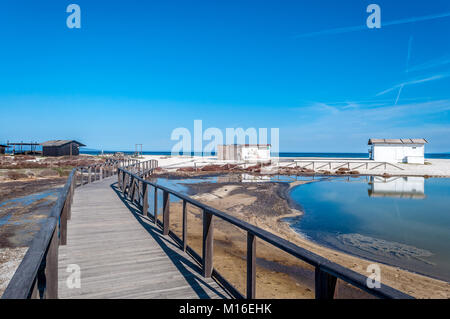 Palude nei pressi di una spiaggia con cielo blu in una giornata di sole Foto Stock