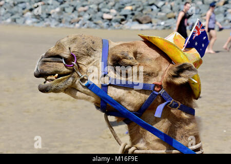 I turisti a cavallo di cammelli sulla spiaggia Foto Stock