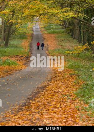 Paio di camminare lungo una strada di campagna in autunno. Foto Stock