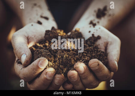 Giardiniere con sporcizia per piantare. Spring Garden. Piantine nelle mani degli agricoltori. Foto Stock