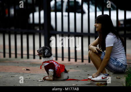 Valencia, Carabobo, Venezuela. 2 Ottobre, 2011. Ottobre 02, 2010. Celebrazione della giornata gli animali nella città di Valencia, Carabobo stato. Foto: Juan Carlos Hernandez Credito: Juan Carlos Hernandez/ZUMA filo/Alamy Live News Foto Stock