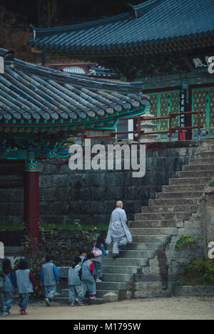 Caduta alla Gayasan National Park, Corea Foto Stock