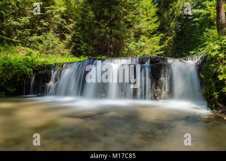 Cascate sul fiume Tanew , Roztocze National Park , Polonia Foto Stock
