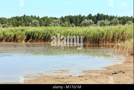 Estate Pryschukove marroncino scuro rosso-lago di iodio con un effetto terapeutico grazie al suo alto contenuto di iodio (Regione di Kherson, Ucraina). Foto Stock