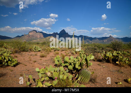 Picco di Baboquivari, Baboquivari montagne, deserto Sonoran, Tohono O'odham Prenotazione, a sud-est di vende, Arizona, Stati Uniti. Foto Stock