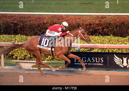 Hallandale, FL, Stati Uniti d'America. 27 gennaio, 2018. Le scommesse fucile preferito Runner #10, cavalcato da Florent Geroux, vince il $16 milioni di Pegasus World Cup Invitational, più ricche del mondo purosangue corsa di cavalli al Gulfstream Park il 27 gennaio 2018 in Hallandale, Florida trasmissione Ref: FLXX Credito: Hoo Me.Com/Media punzone/Alamy Live News Foto Stock