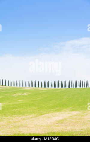 Classico panorama toscano con colline e cipressi durante una giornata di sole Foto Stock