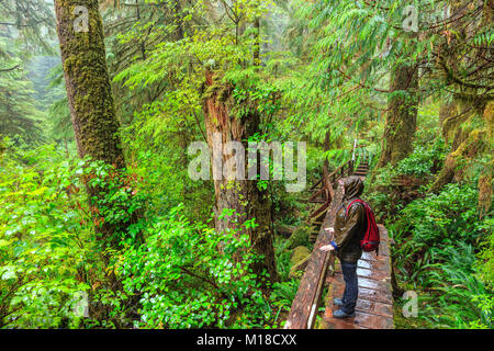 Donna escursionismo il sentiero nella foresta pluviale, Pacific Rim National Park, l'isola di Vancouver, British Columbia, Canada. Foto Stock