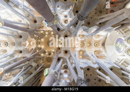 Vista interna della Sagrada Familia di Antoni Gaudi,Barcellona,Cataluña,Spagna Foto Stock