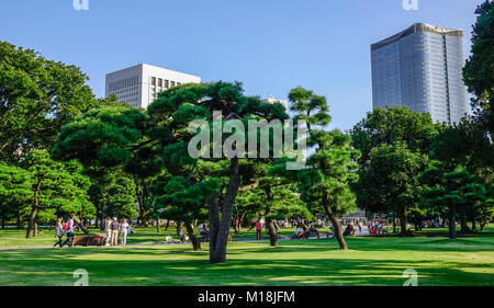 Tokyo, Giappone - 29 set 2017. Persone a pine tree park con cityscape sfondo in Tokyo, Giappone. Foto Stock