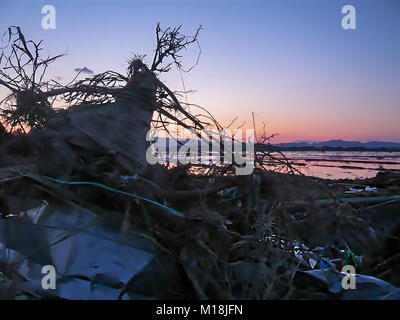 18 marzo 2011, Isobe, Soma, Fukushima, Giappone, hanno devastato la scena nel quartiere Isobe. I campi di riso sono state riempite con acqua di mare e macerie a causa di Tsunami. Poli elettrici sono state piegate e segnali di strada sono state distrutte. L'acqua, di gas e di energia elettrica sono state fuori uso per settimane in questo quartiere. Campo di riso viene desalinizzata adesso. Foto Stock