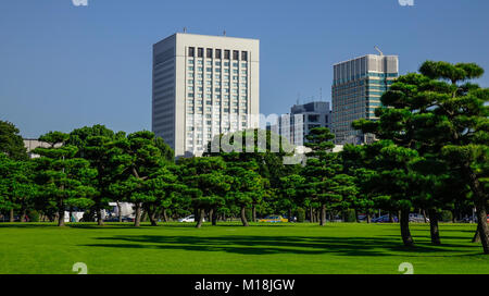 Tokyo, Giappone - 29 set 2017. Pine Tree park con cityscape sfondo in Tokyo, Giappone. Foto Stock