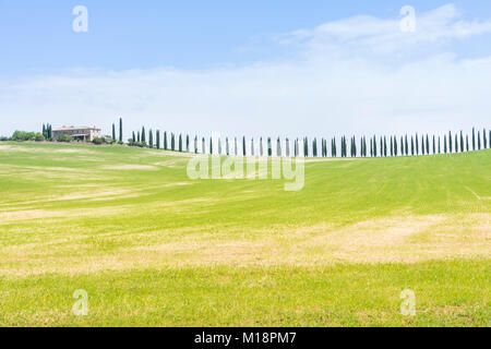 Classico panorama toscano con colline e cipressi durante una giornata di sole Foto Stock