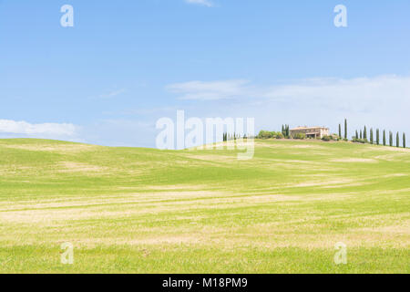 Classico panorama toscano con colline e cipressi durante una giornata di sole Foto Stock