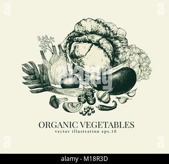 Verdure disegnati a mano illustrazione vettoriale. Modello di pagina di intestazione. Retrò stile inciso sullo sfondo. È possibile utilizzare per visualizzare il menu, etichette, imballaggio, mercato di fattoria Illustrazione Vettoriale