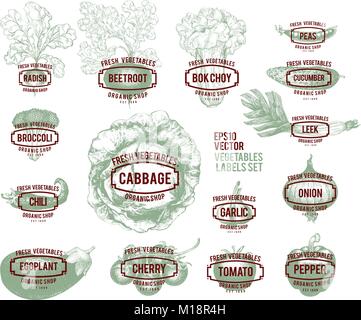 Raccolta di disegnato a mano illustrazioni di vegetali, illustrazione vettoriale in stile vintage. Etichette con vari ortaggi. Set di modelli di logo per negozi e mercati di organico del cibo vegetariano. Illustrazione Vettoriale