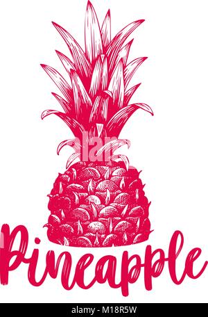 Vettore disegnati a mano ananas. L'estate tropicale di frutta stile inciso illustrazione. Possono essere utilizzare per pubblicitarie, imballaggio, biglietti di auguri, poster. Illustrazione Vettoriale