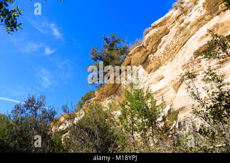 Chalk cliffs nel Avagas gola, la penisola di Akamas, Paphos, Cipro. Foto Stock