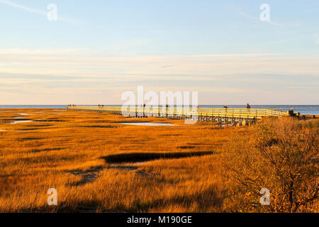 Il Boardwalk, Grey's Beach, Yarmouth Port, Cape Cod, Massachusetts, Stati Uniti, America del Nord Foto Stock