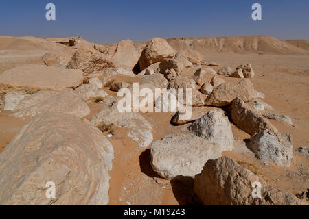 Scenario desertico e il paesaggio con il deserto di sabbia e formazioni rocciose Foto Stock