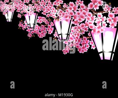 Sakura. Magnifica a rami di un albero ciliegio con viola piccoli fiori su uno sfondo nero. Una serie di incandescente lanterne orto. illustrator Illustrazione Vettoriale