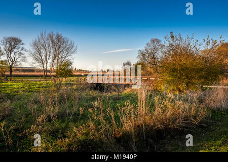 Fotografato in un parco in Cedar Falls, Iowa Foto Stock