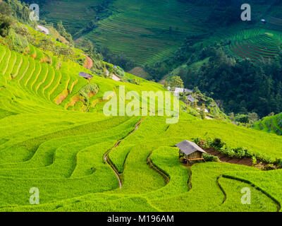 Lo straordinario paesaggio di riso terrazzati in campo le montagne di Um Cang Chai, Yen Bai provincia, nel Vietnam del nord Foto Stock