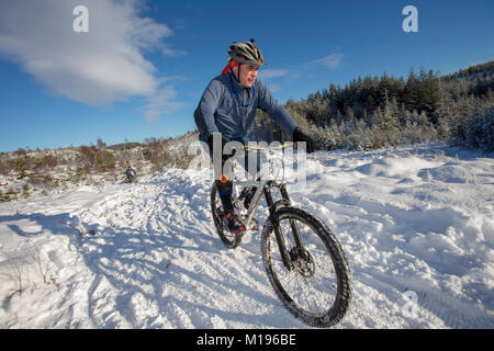 Pilota al Strathpuffer 24 ora mountain bike race a Strathpeffer nelle Highlands Scozzesi. Foto Stock