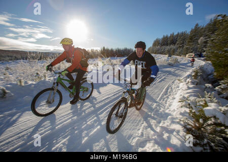 Pilota al Strathpuffer 24 ora mountain bike race a Strathpeffer nelle Highlands Scozzesi. Foto Stock