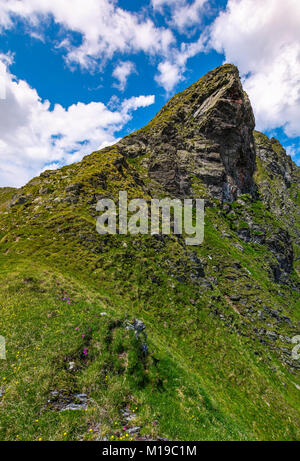 Tor roccioso dietro il pendio erboso. incantevole scenario di montagne in un giorno nuvoloso Foto Stock