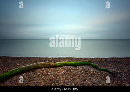 Un suggestivo e moody inspirational seascape sulla costa sud-ovest dell' Isola di Wight con un albero caduto il ramo in primo piano. Mare calmo. Foto Stock
