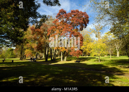 Attraversamento di Washington Park, New Jersey Foto Stock