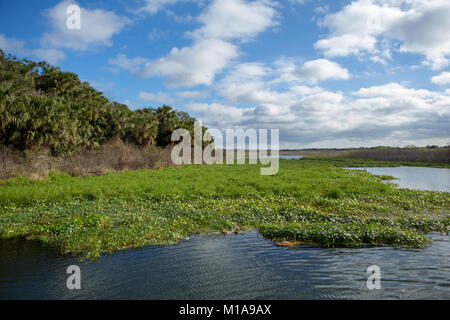 Molle Gemini Park, DeBary, Florida Foto Stock