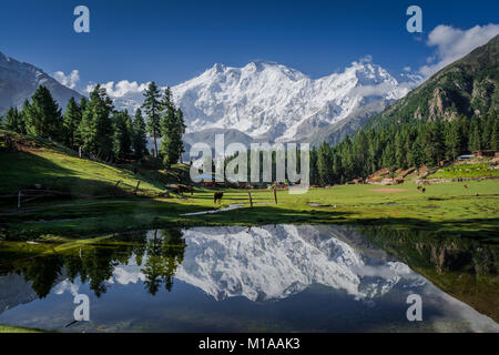 Vista del possente Nanga Parbat Mountain (8,126 metri), noto anche come Killer della montagna è uno tra i 14 otto-thousanders. Foto Stock