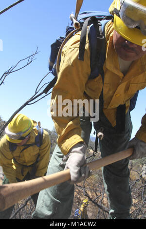 Soldati di equipaggio 9 della Task Force Charlie, California Army National Guard, mop fino un'area bruciato dal fuoco di Gerusalemme il agosto 14 vicino Clearlake, California. Il California guardie sono tra i sei equipaggi lavora con CAL FIRE al fine di prevenire in futuro di incendi in California del Nord. (U.S. Esercito nazionale Guard foto/Staff Sgt. Eddie Siguenza.) Foto Stock