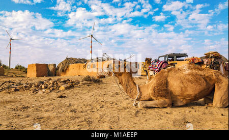 Cammelli utilizzati per il safari nel deserto scorre in un villaggio rurale nel deserto di Thar area di Jaisalmer, Rajasthan Foto Stock