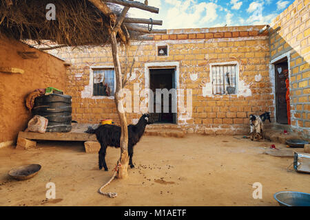 Il villaggio di Rajasthani vicino al deserto di Thar in mattoni con case di fango e capre. Foto Stock