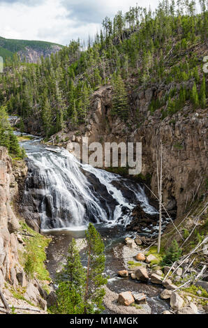 Gibbone cade sul fiume Gibbone. Parco Nazionale di Yellowstone, Wyoming. Foto Stock